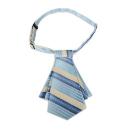 SKCF10 訂製韓版商務工裝領花 銀行正裝職業工作襯衣襯衫領帶領花 領花生產商 SKCF10 訂製韓版商務工裝領花 銀行正裝職業工作襯衣襯衫領帶領花 領花生產商